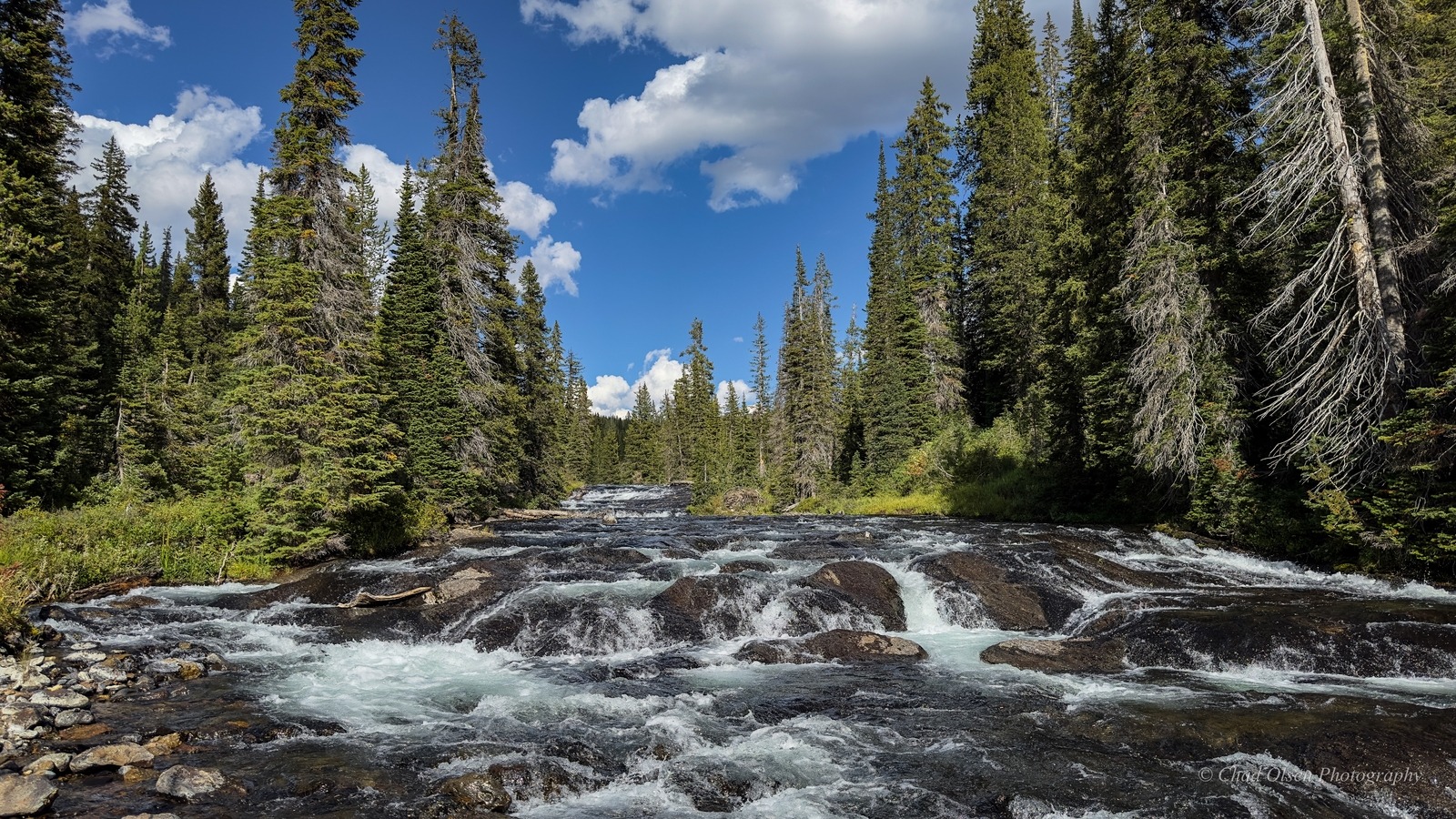 Bechler River Fly Fishing Trips