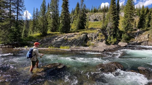Yellowstone Park Fly Fishing Guides