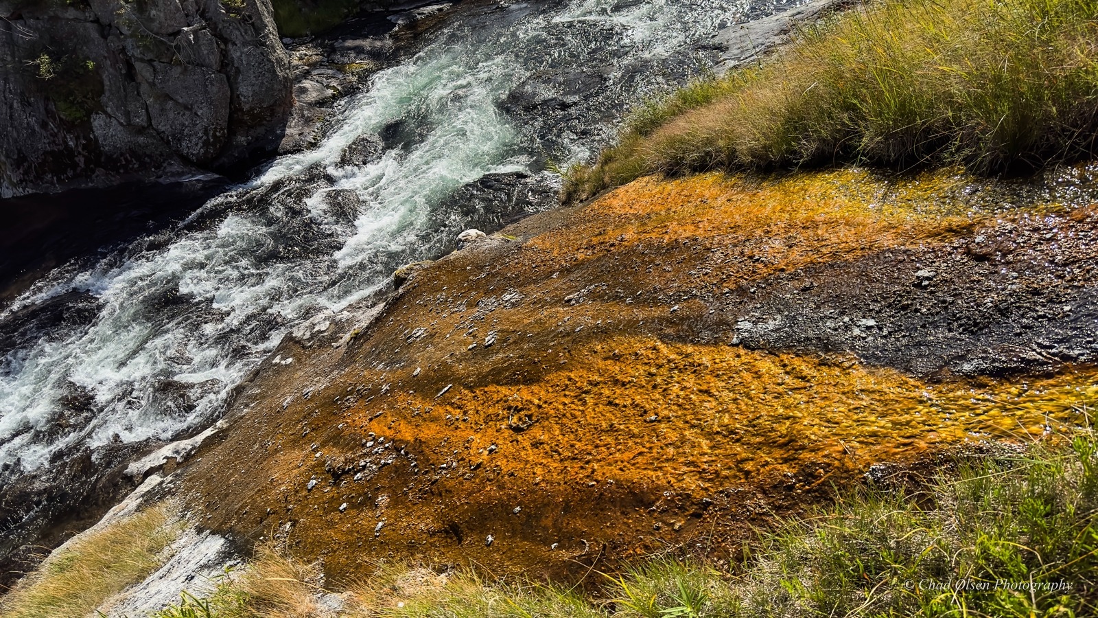 Bechler River Wilderness Trips