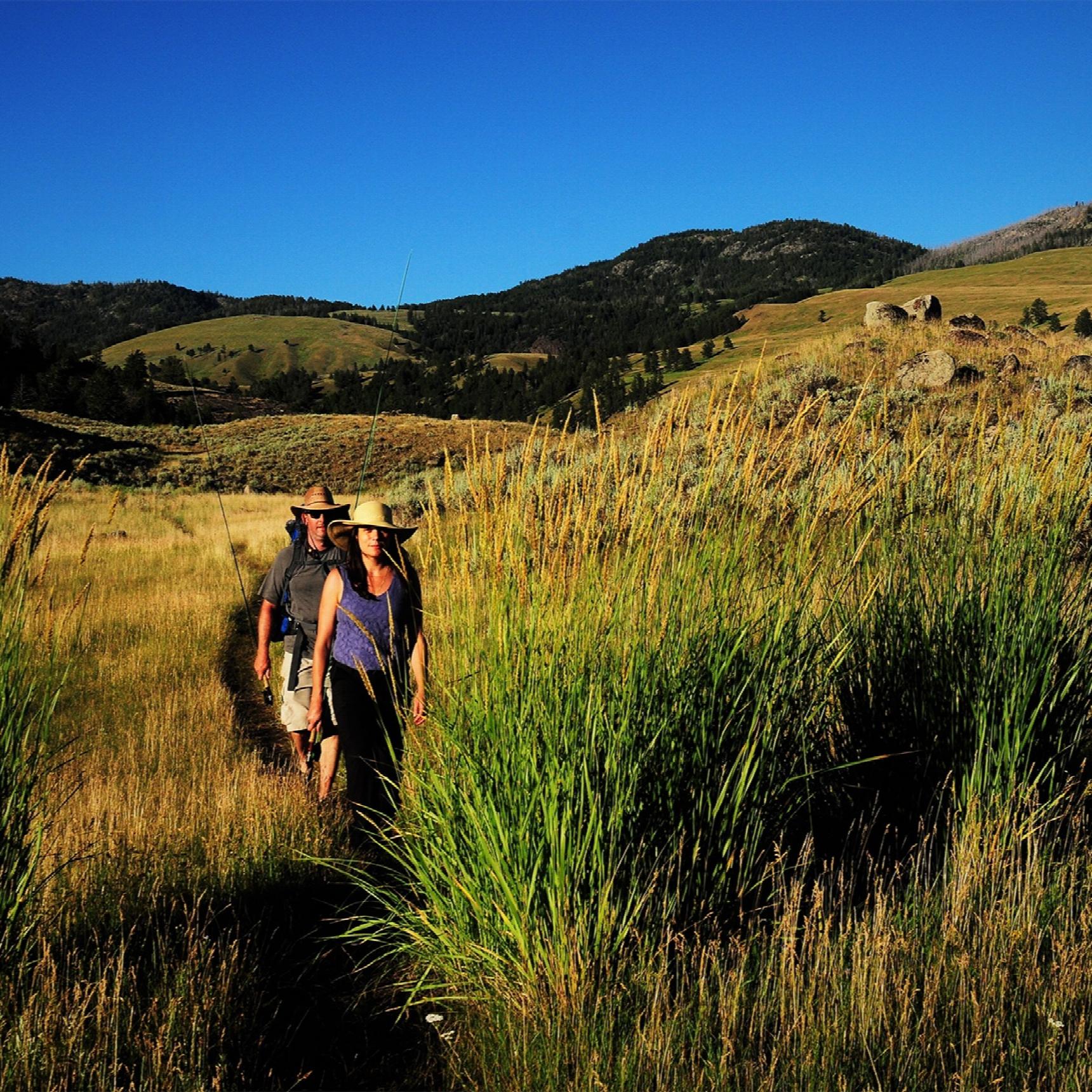 Two people walking through a meadow with fishing gear