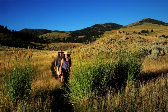 Two people walking through a meadow with fishing gear