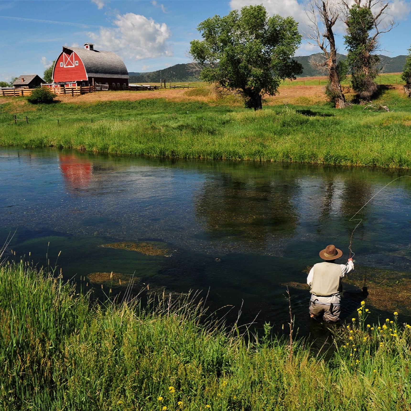 A lush green day. A person is fishing in a stream with a red barn in the background.