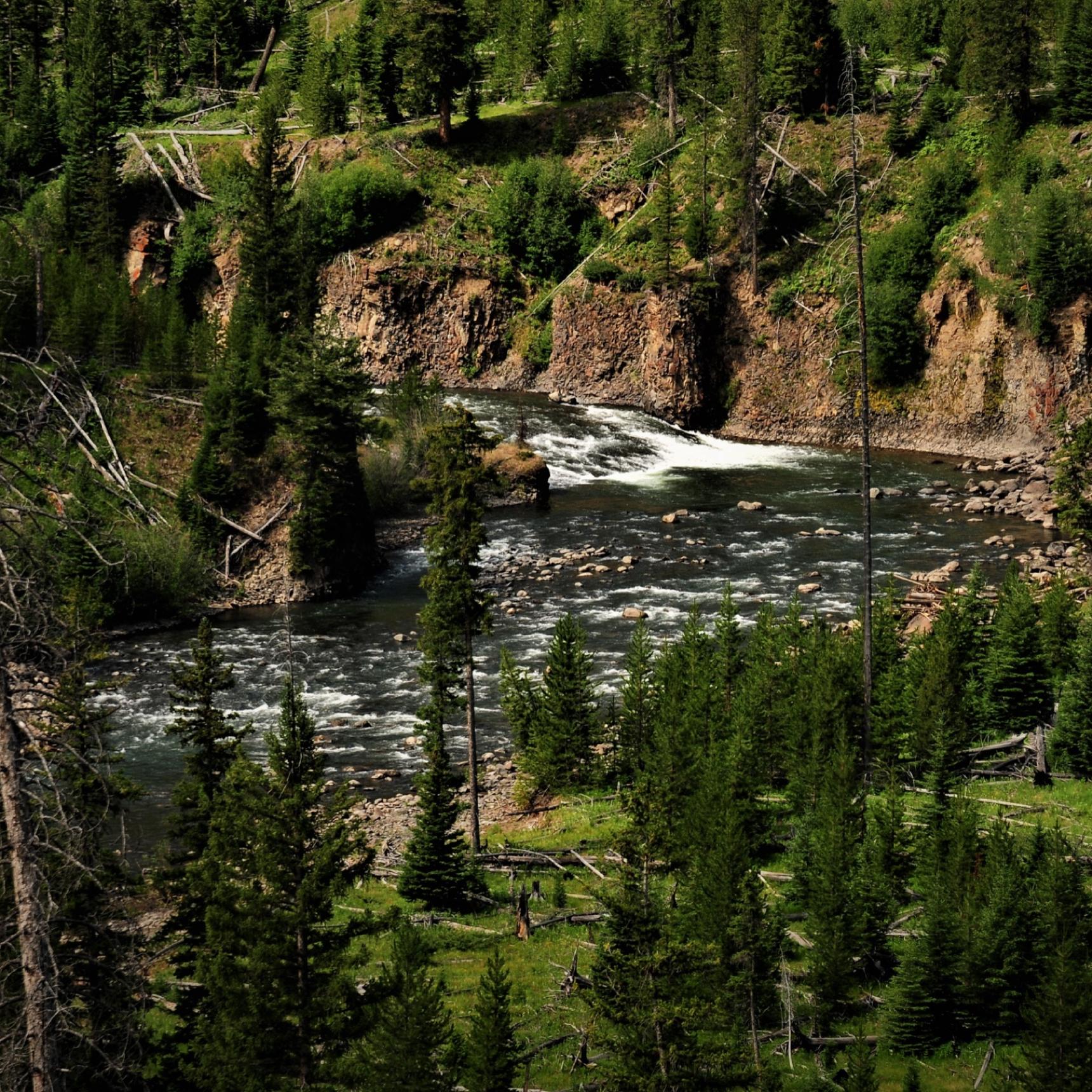 Lamar River, Yellowstone Park