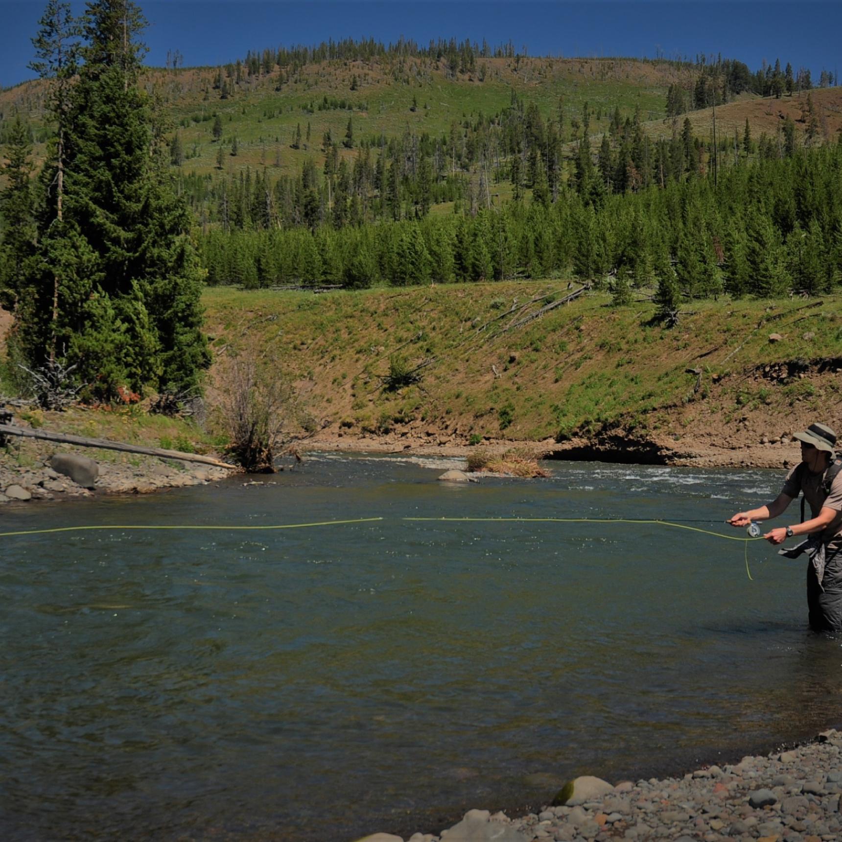 Fly fishing the upper Lamar River, Yellowstone Park