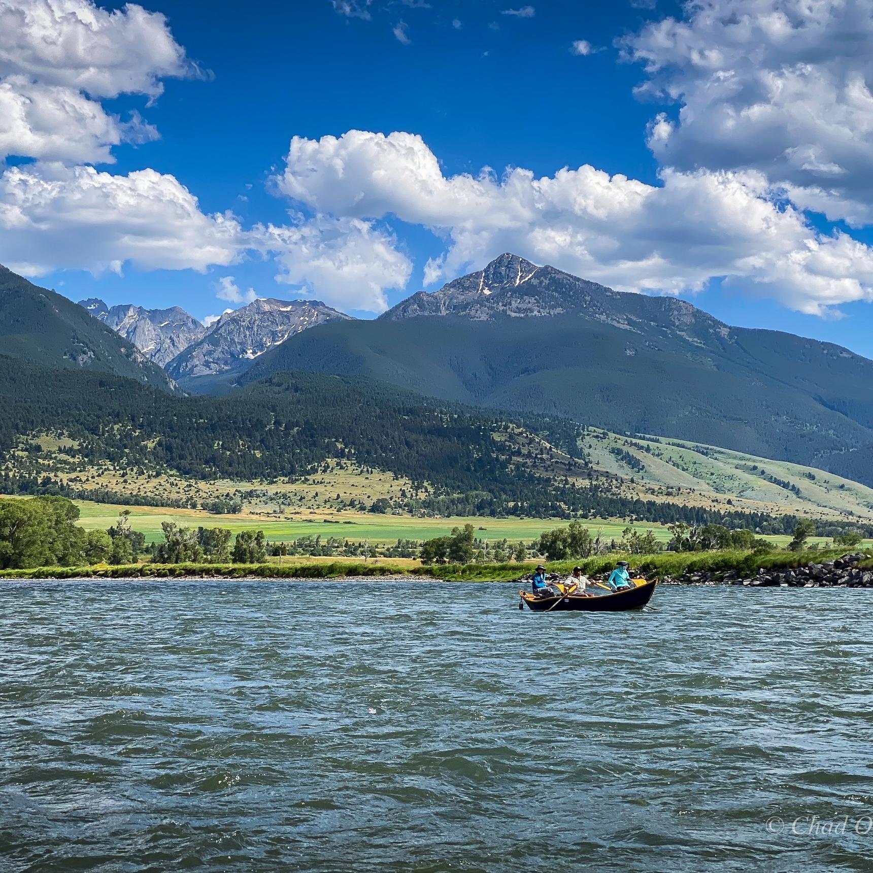 Yellowstone River Fly Fishing Trips