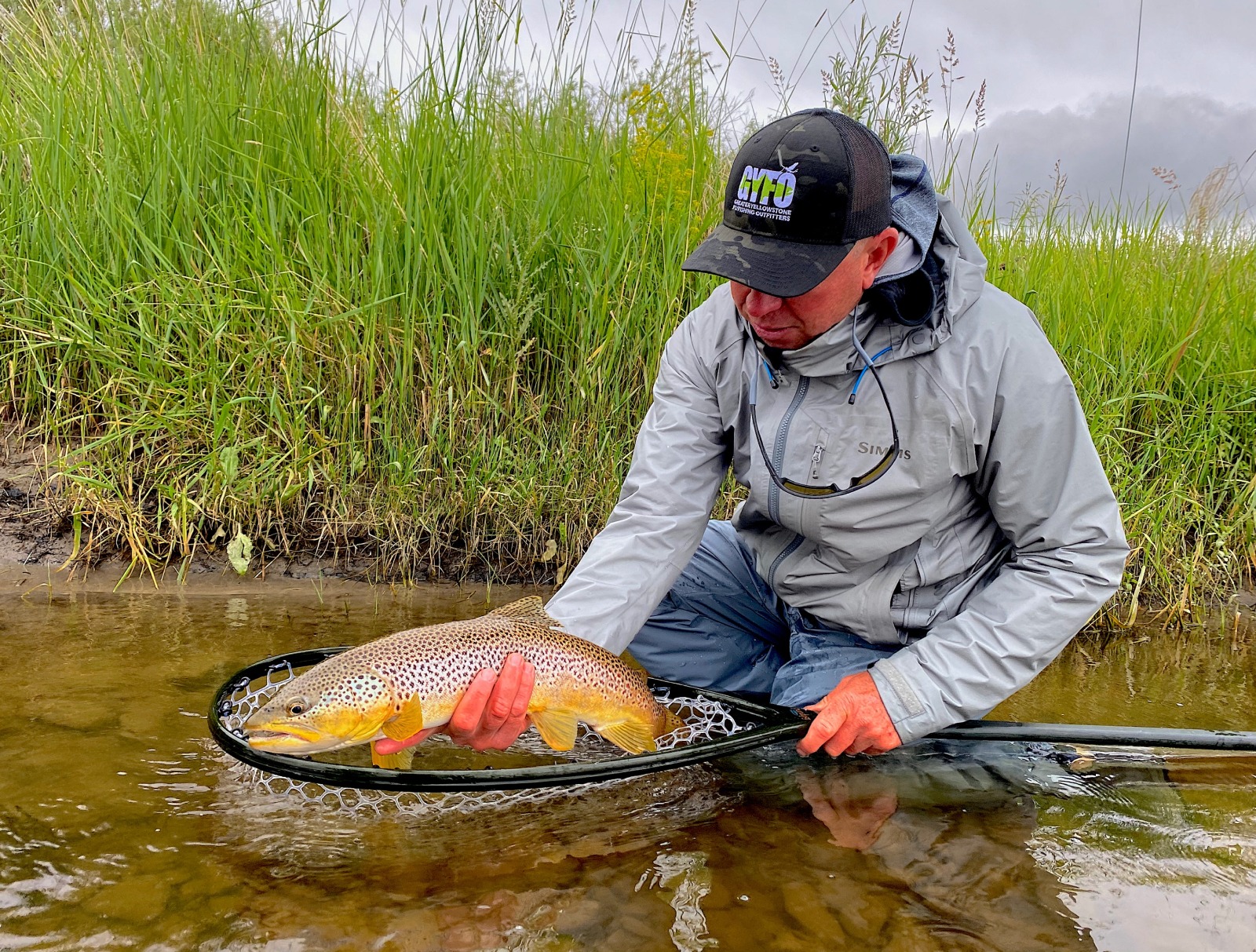 Montana Trout Fishing