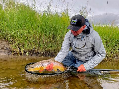 Montana Trout Fishing