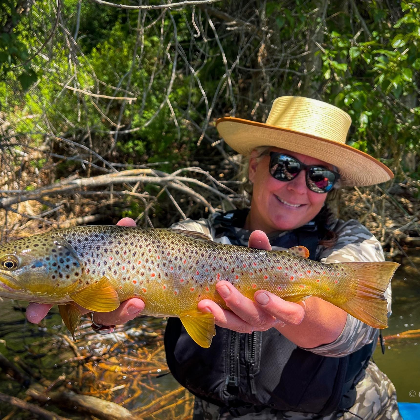 Fly Fishing Montana's Boulder River