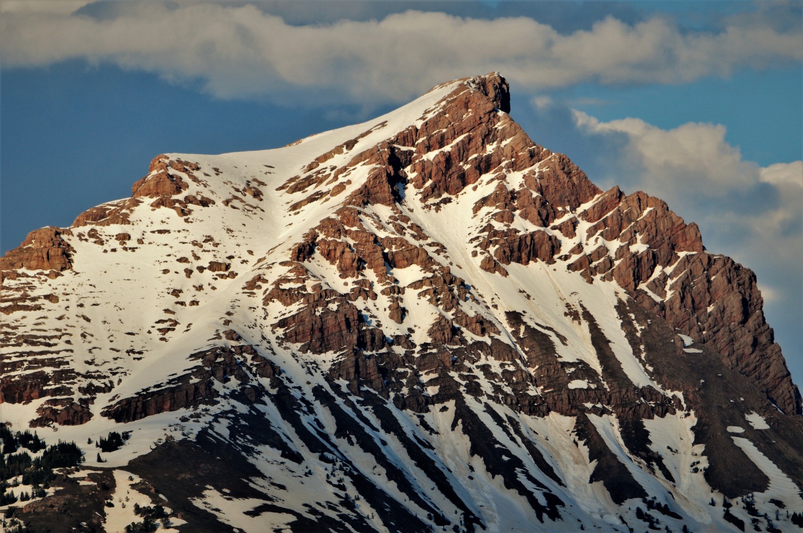 Montana Fly Fishing Trips