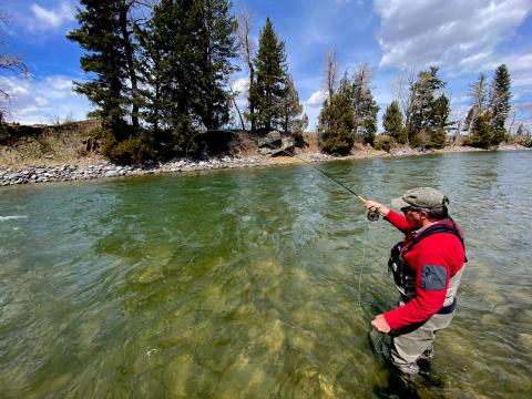 Montana Fly Fishing