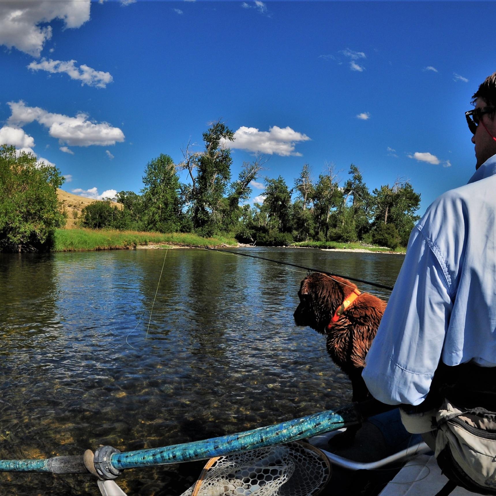 Man in a blue shirt with a dog on a raft with an oar sticking in the water a grassy hill in the distance with blue skies and puffy clouds