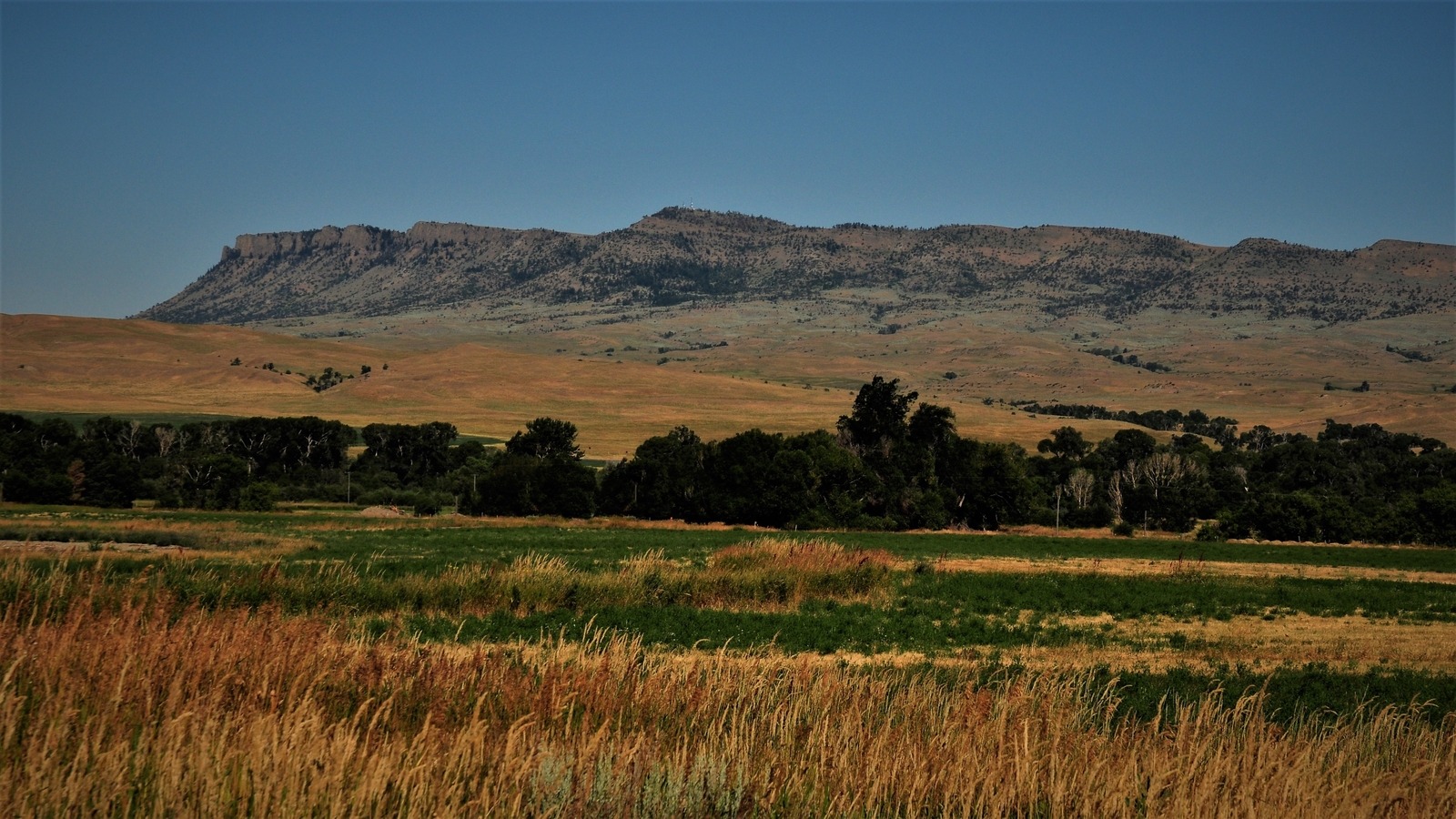 Yellowstone River Guided Fishing Trips