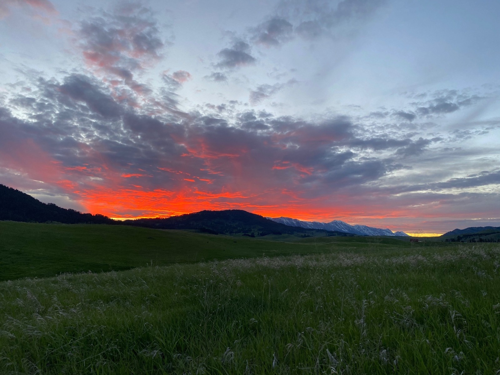 Montana Fly Fishing