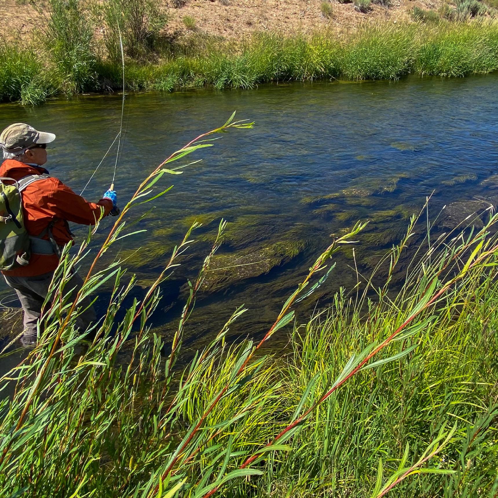 Wyoming Fly Fishing Guides