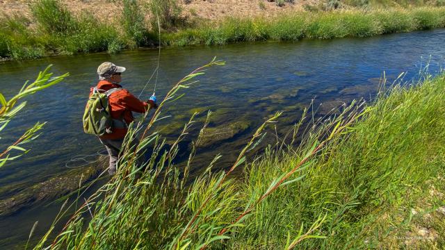 Wyoming Fly Fishing Guides