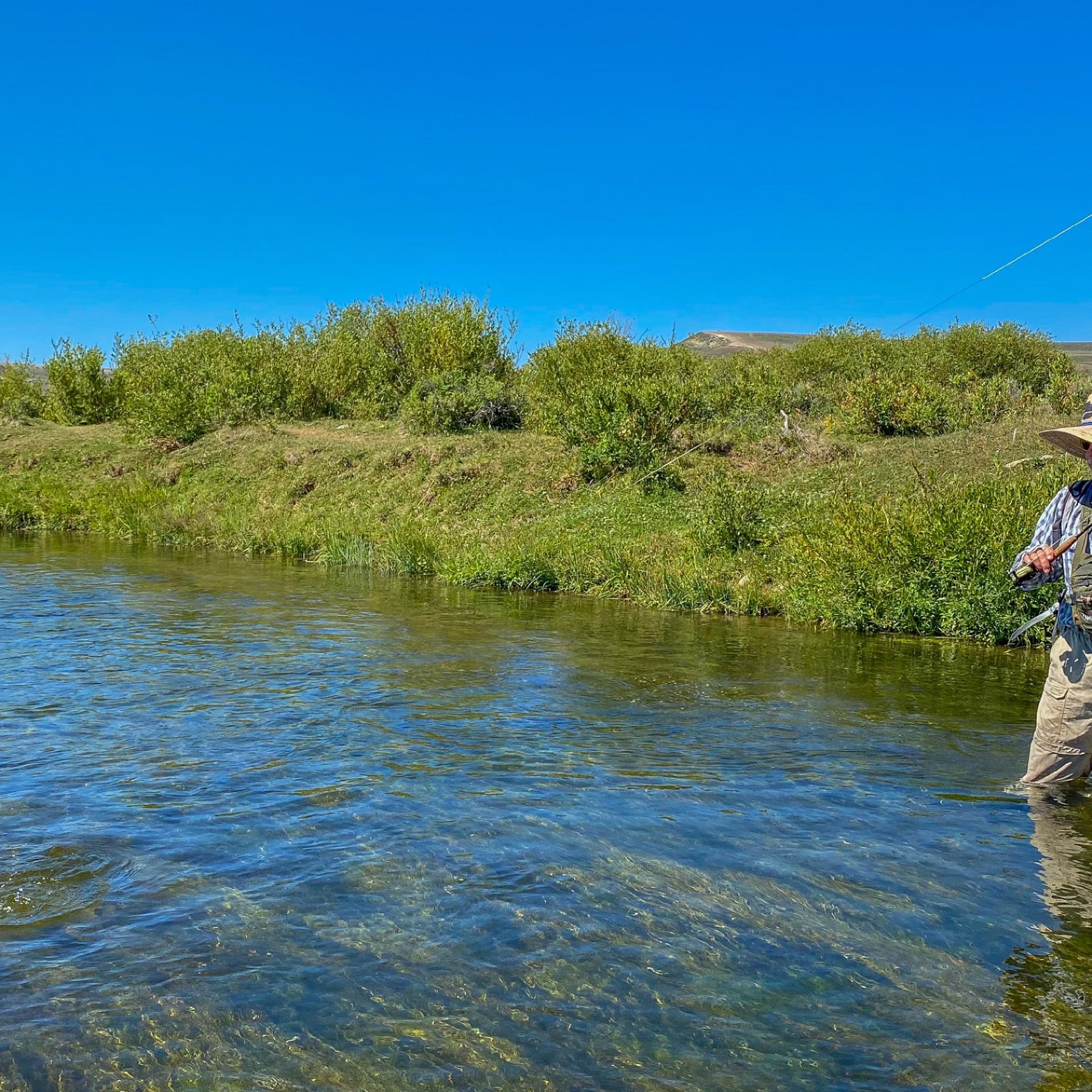 Wyoming Fly Fishing Trips