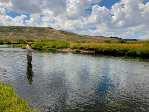 Wyoming Fishing Guides