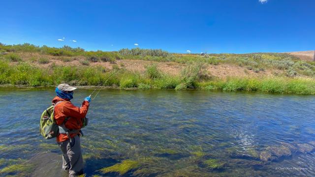 Wyoming Fly Fishing Guides