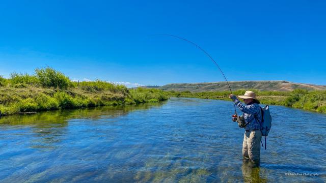 Wyoming Fly Fishing Guides