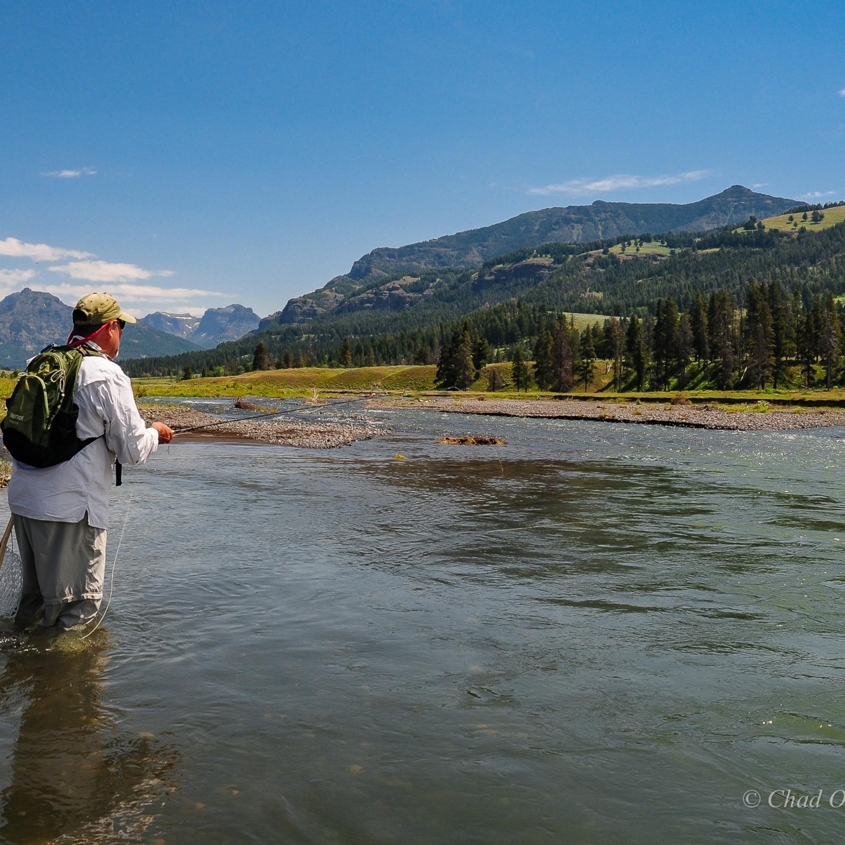 Yellowstone Park Best Fly Fishing Wade Trips.