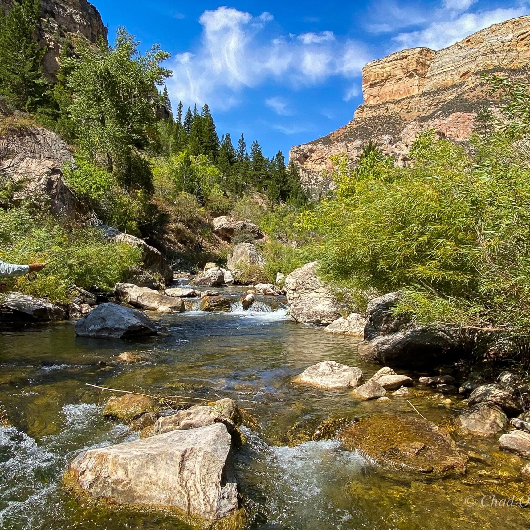 Wyoming Wade Fishing Trip.