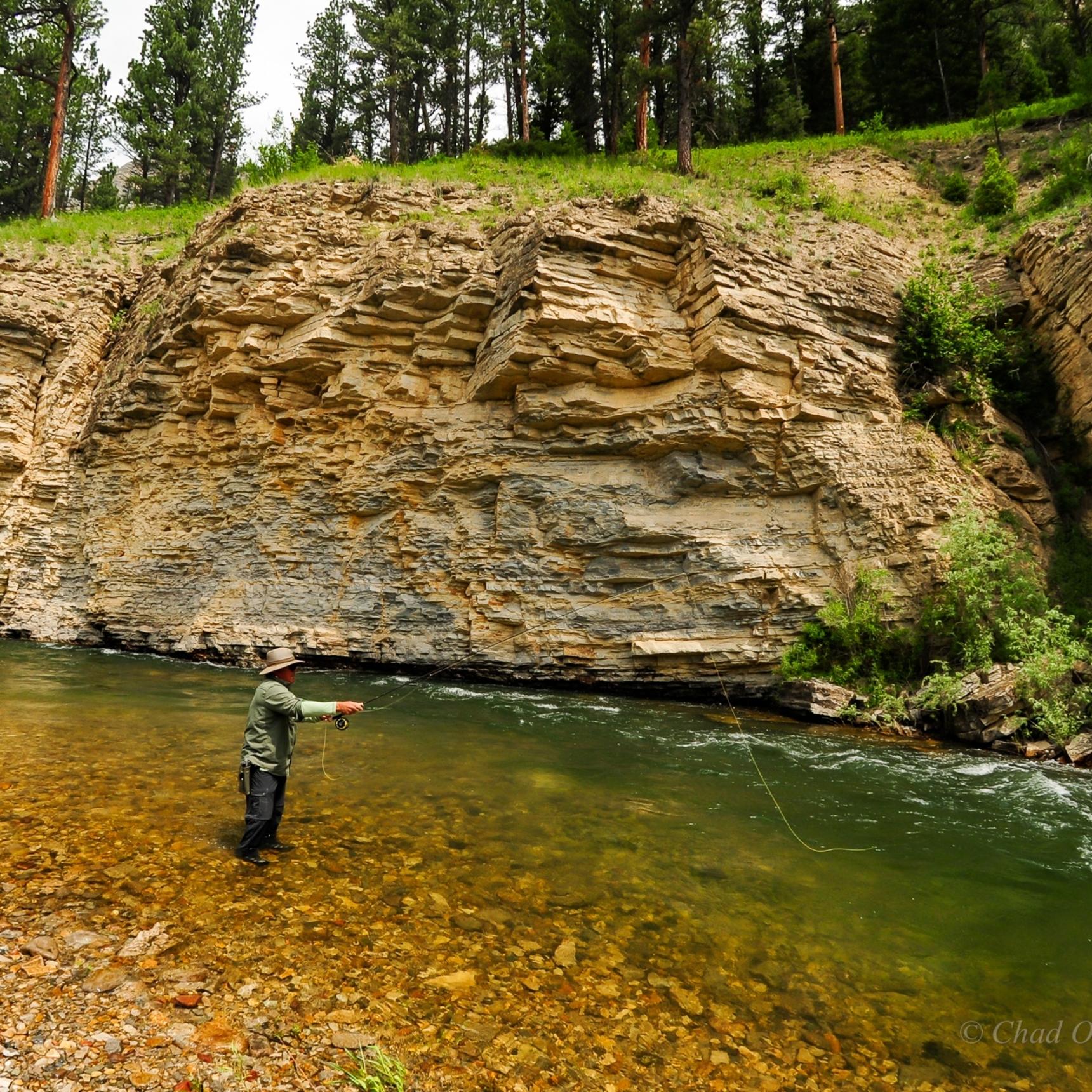 Montana Fly Fishing Wade Trips