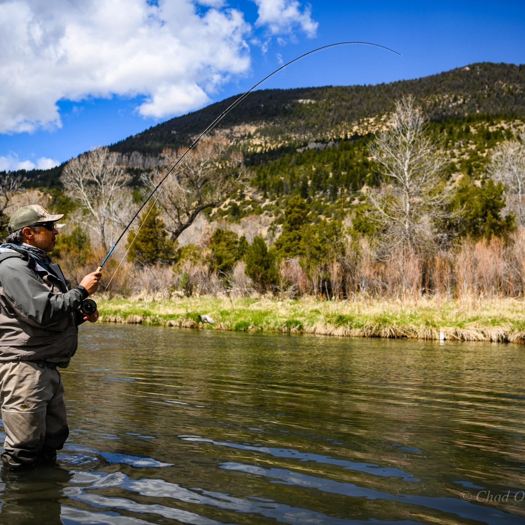 Montana Fly Fishing Trips. Wade Fishing Montana Spring Creeks.