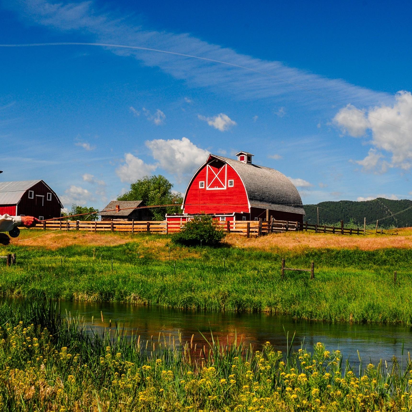 Montana Fly Fishing Wade Trips