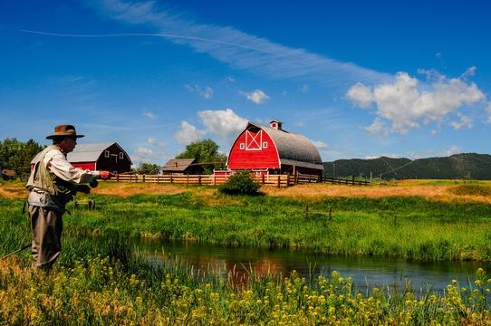 Montana Fly Fishing Wade Trips