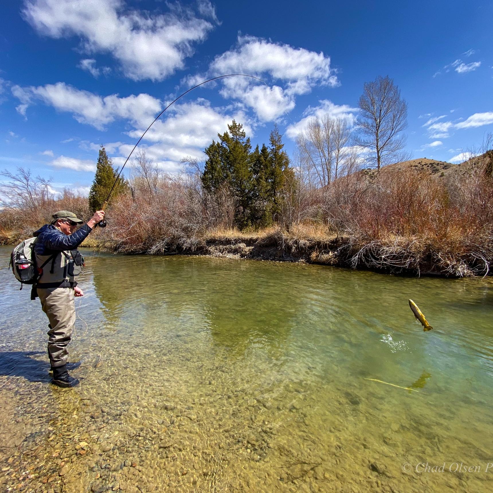Montana Fly Fishing Wade Trips