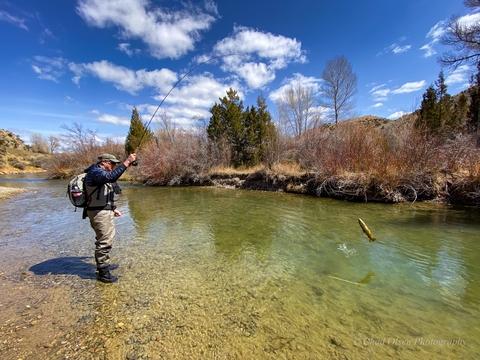 Montana Fly Fishing Wade Trips