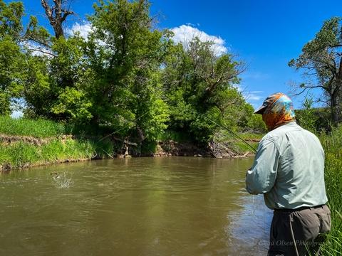 Montana Fly Fishing Wade Trips