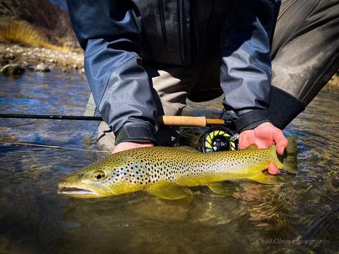 Montana Fly Fishing Wade Trips