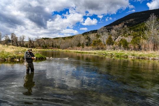 Montana Fly Fishing Wade Trips