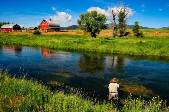 Montana Fly Fishing Wade Trips