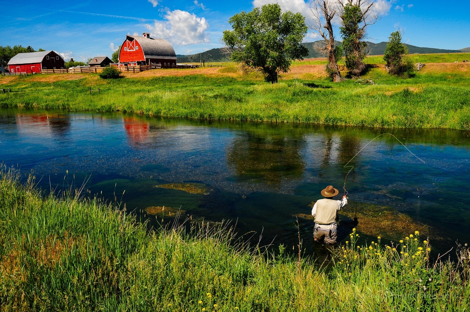Private Montana Spring Creek Fishing Trips