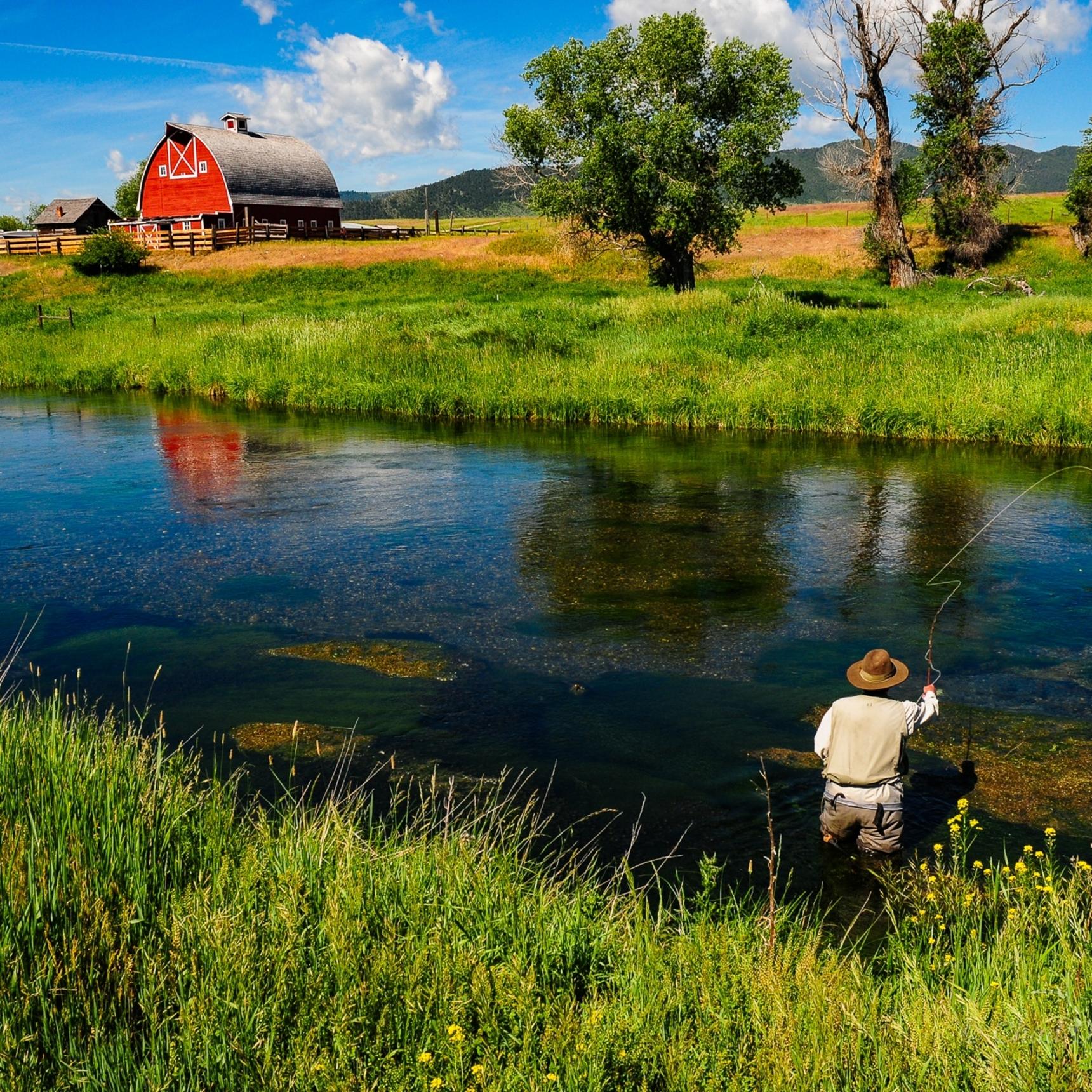 Private Montana Spring Creek Fishing Trips