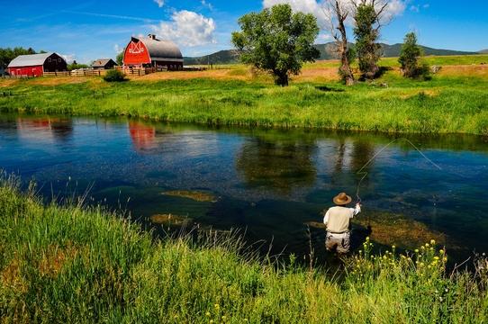 Private Montana Spring Creek Fishing Trips