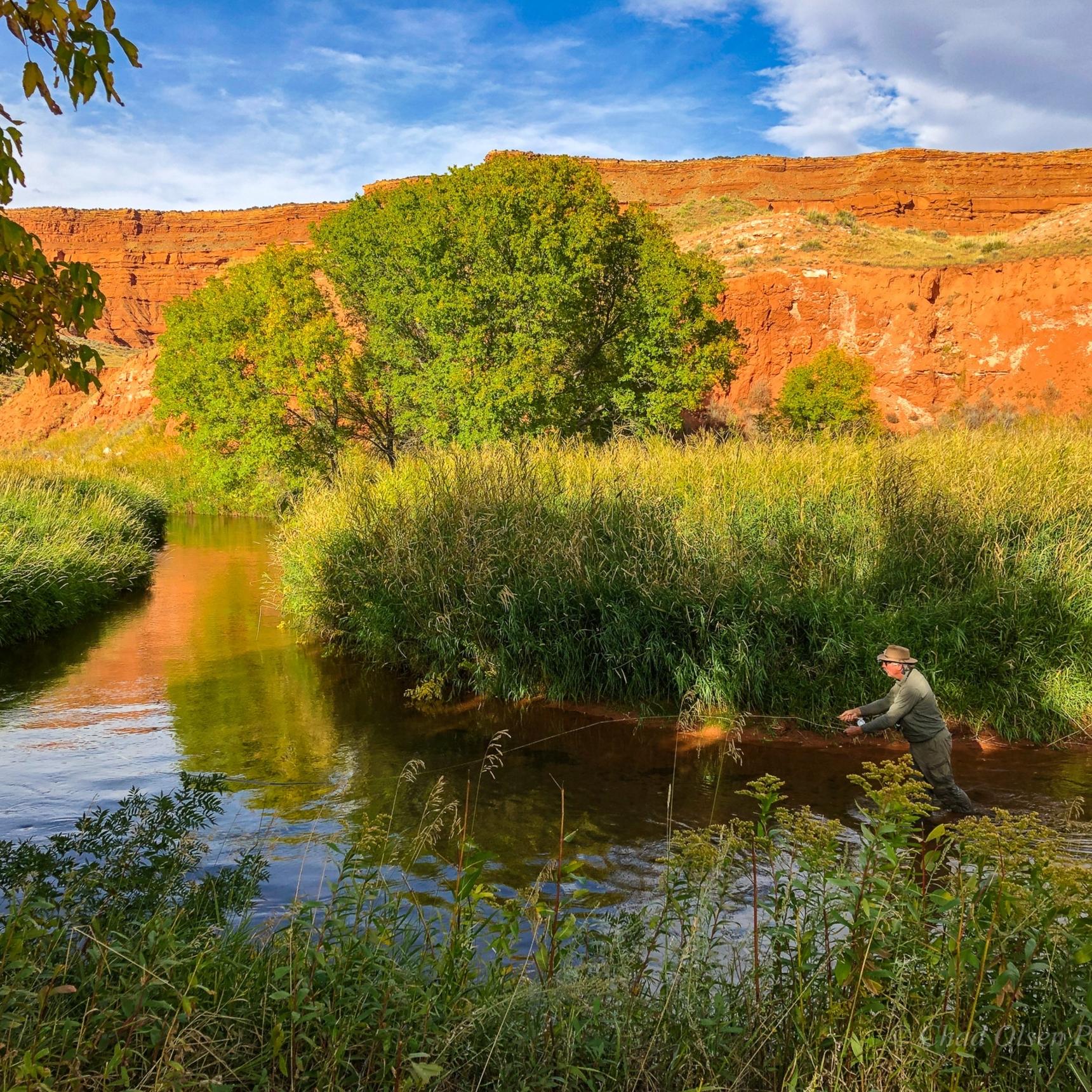 Wyoming Private Water Fly Fishing Trips