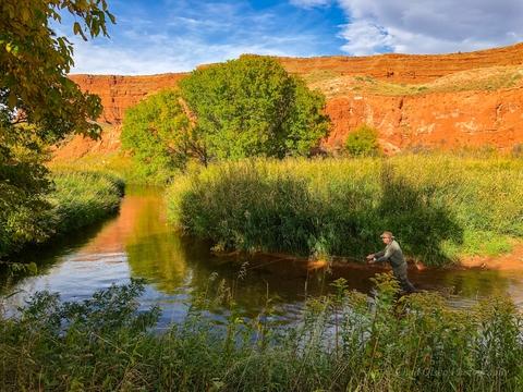 Wyoming Private Water Fly Fishing Trips
