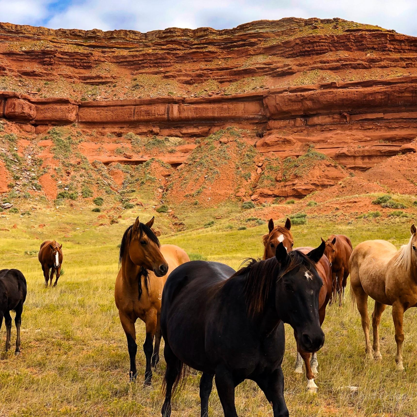 Private Wyoming Ranch Fly Fishing Trips