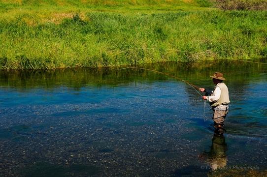 Private Montana Spring Creek Fishing Trips