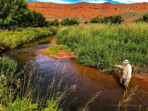 Private Wyoming Ranch Fly Fishing Trips