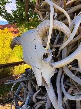 Private Wyoming Ranch Fly Fishing Trips