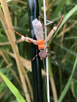 Private Wyoming Ranch Fly Fishing Trips