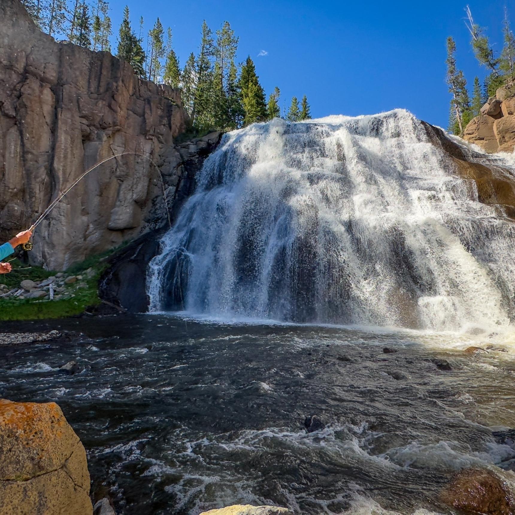 Yellowstone Park Fly Fishing Trips
