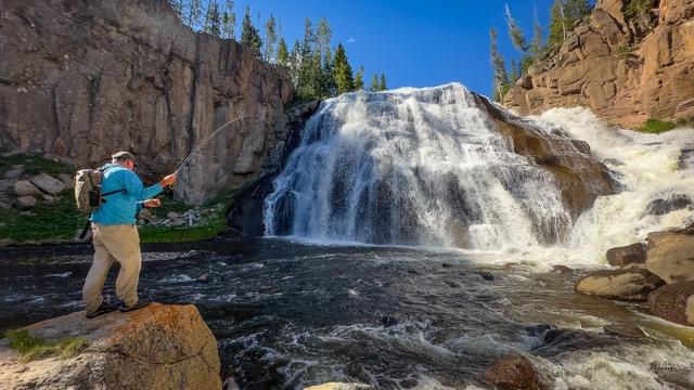 Yellowstone Park Fly Fishing Trips