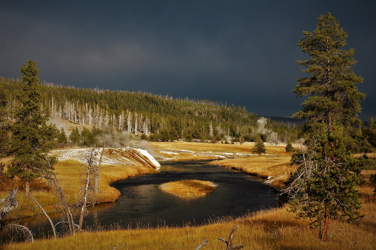 Yellowstone Fly Fishing Trips