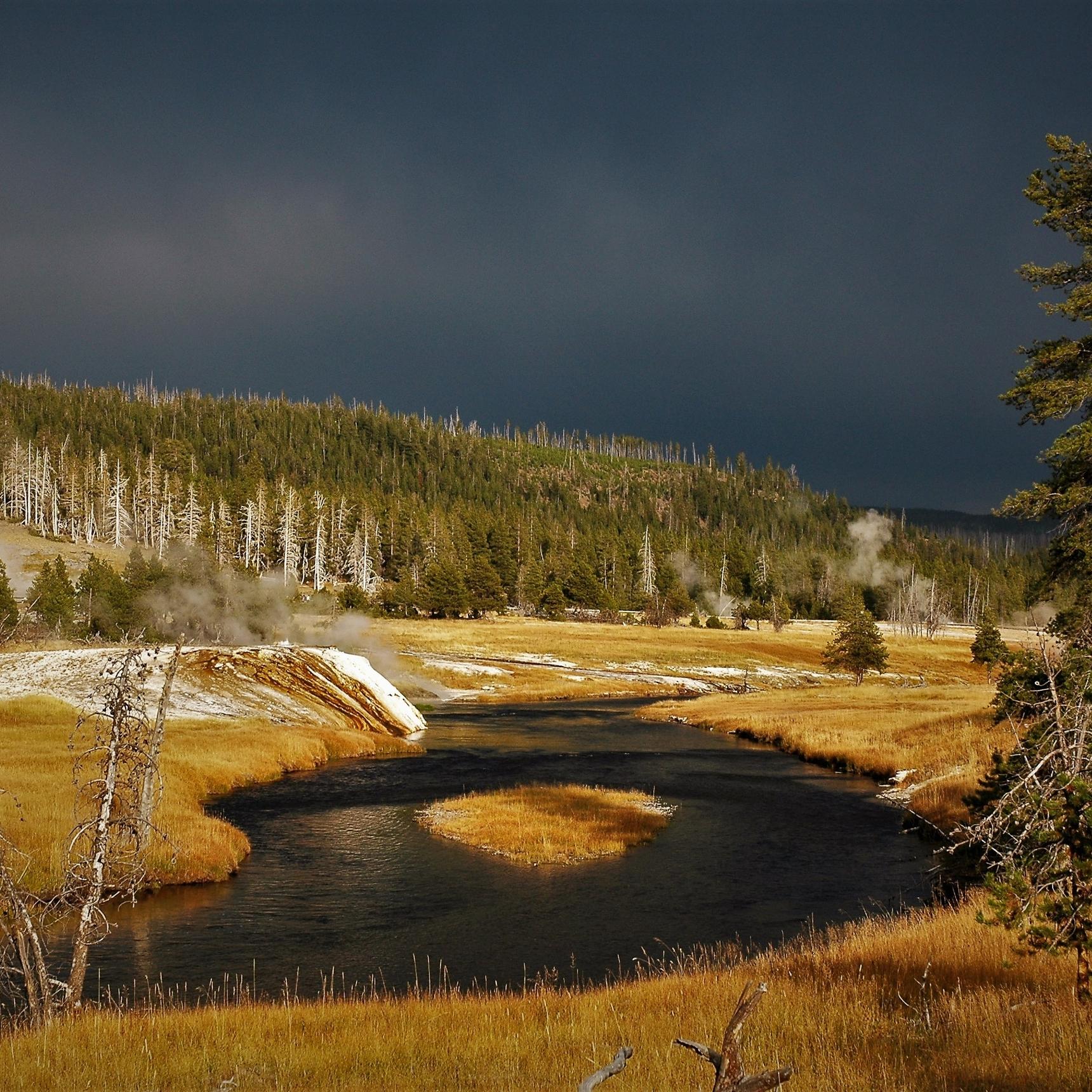 Yellowstone Fly Fishing Trips