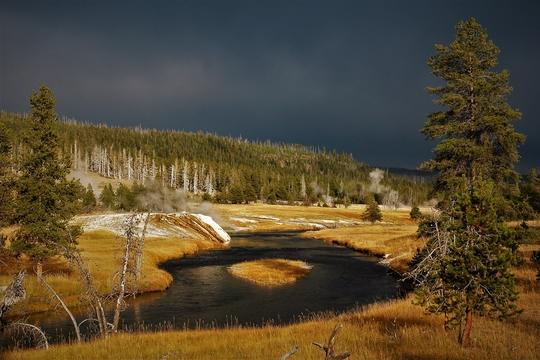 Yellowstone Fly Fishing Trips